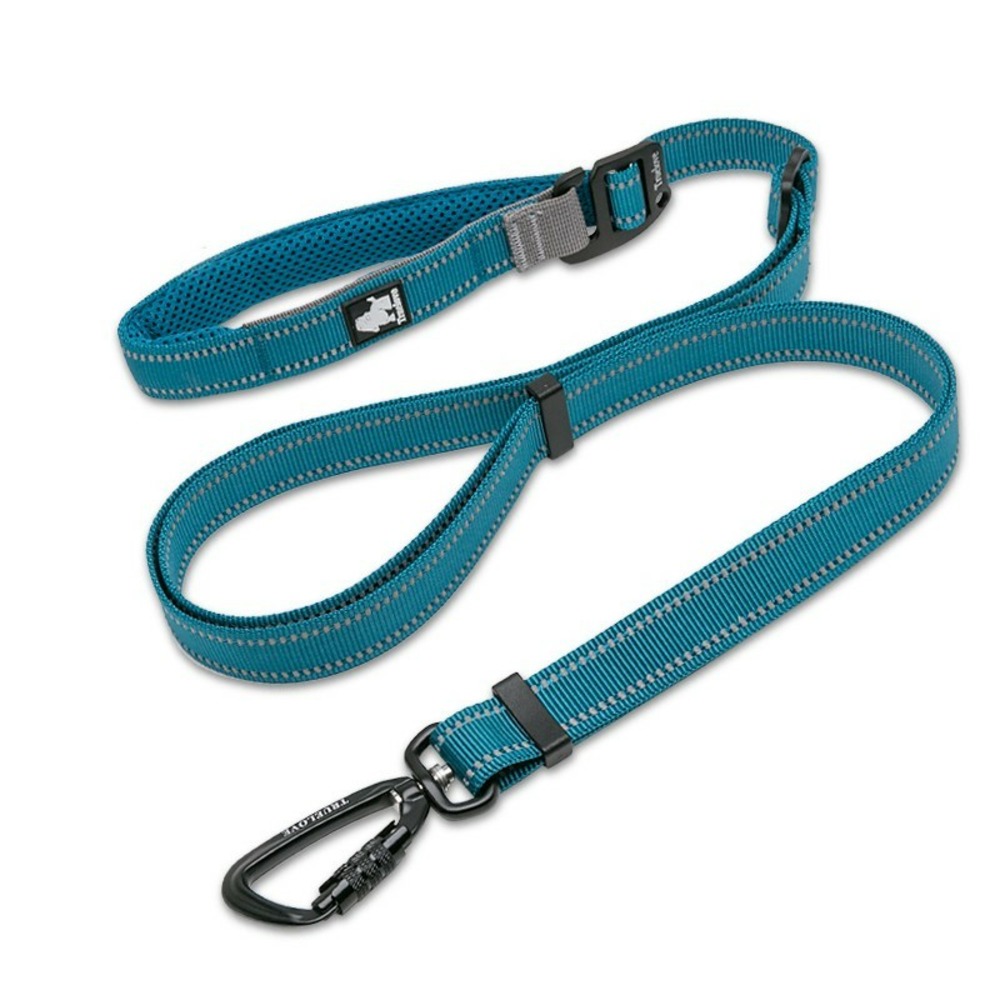 Laisse extensible chien Climb - Bleu