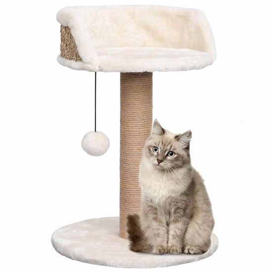 Arbre à chat compact 49cm avec griffoir herbiers marins et jouet suspendu
