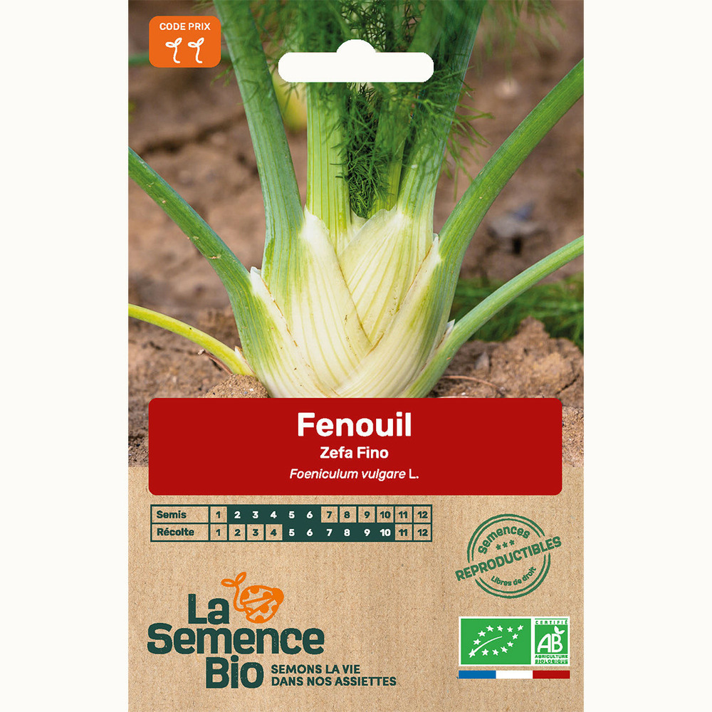 Fenouil zefa fino - graines bio