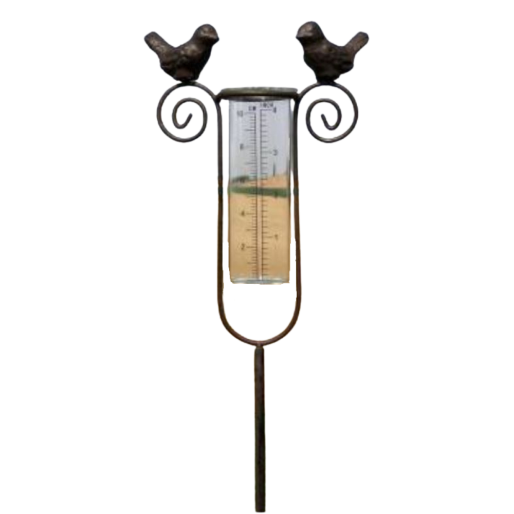 Tuteur plante grimpante pluviomètre à piquer fonte verre marron 100 cm