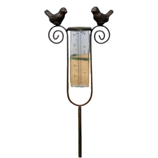 Tuteur plante grimpante pluviomètre à piquer fonte verre marron 100 cm