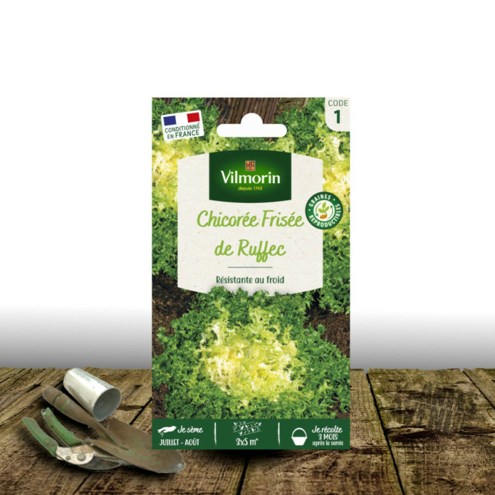 Graines de chicorée frisée de ruffec - vilmorin sachet