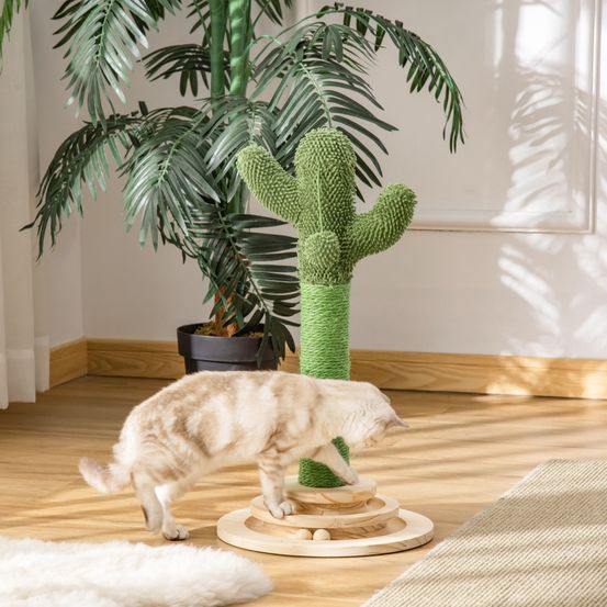 Griffoir chat forme cactus bois sisal naturel protection canapé 60cm vert