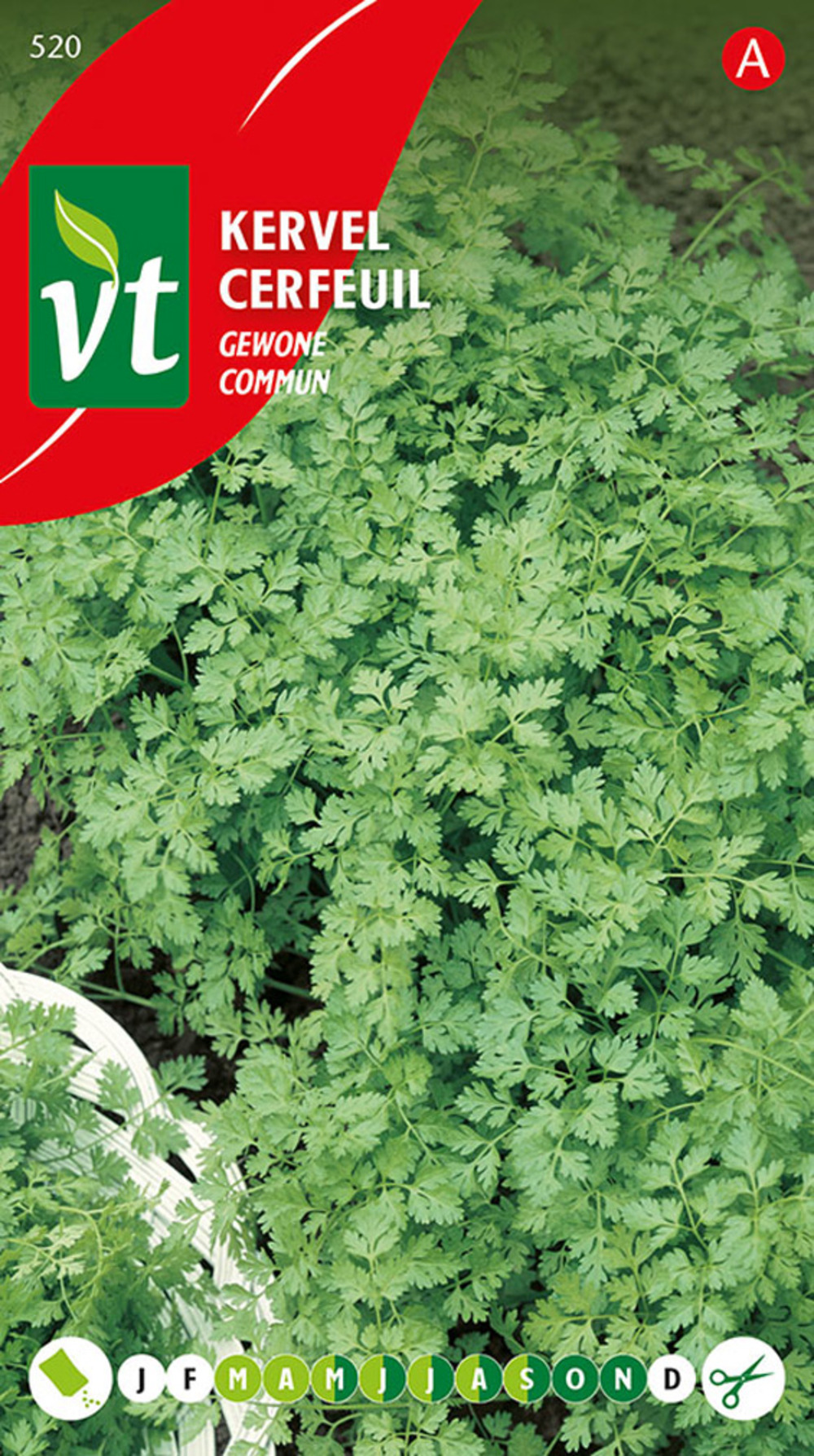 Cerfeuil commun - ca. 8 gr (livraison gratuite)