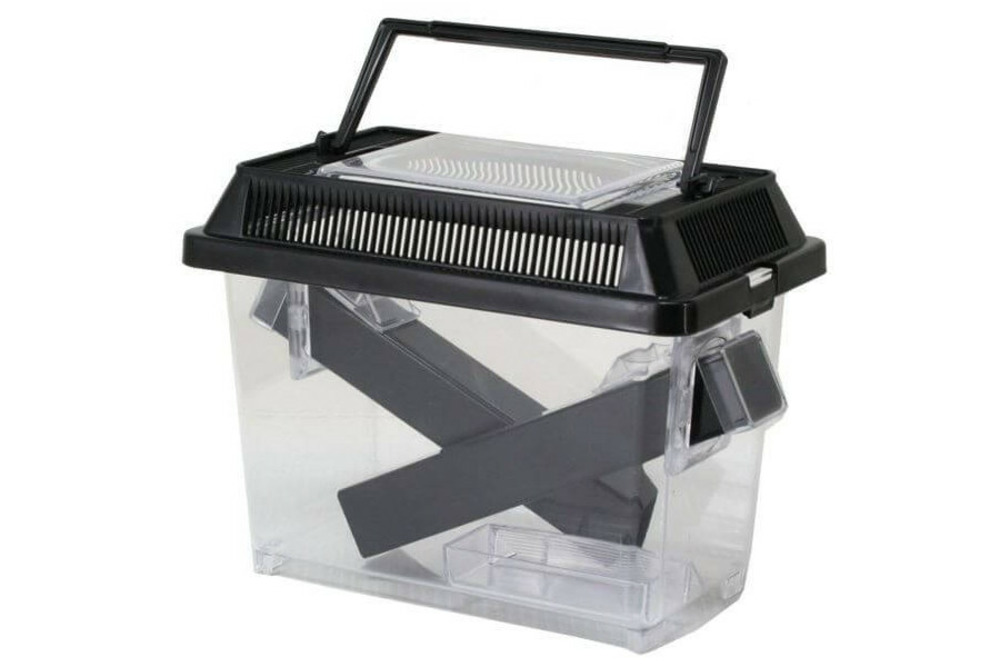 Cricket pen - large 30 x 20.5 x 19.5 cm pour l'alimentation des insectes