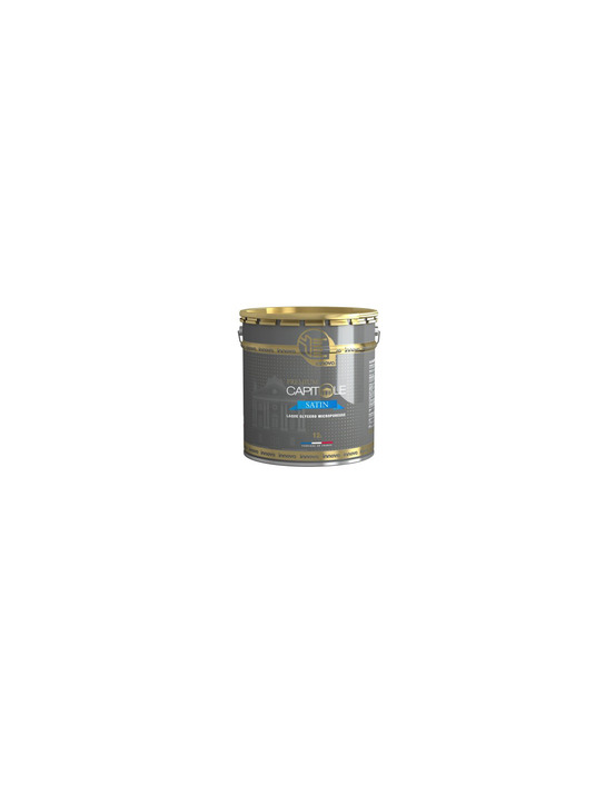 Peinture innova capitole premium satin blanc 12l - innova