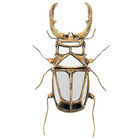 Miroir scarabée à pinces 43x5x22cm