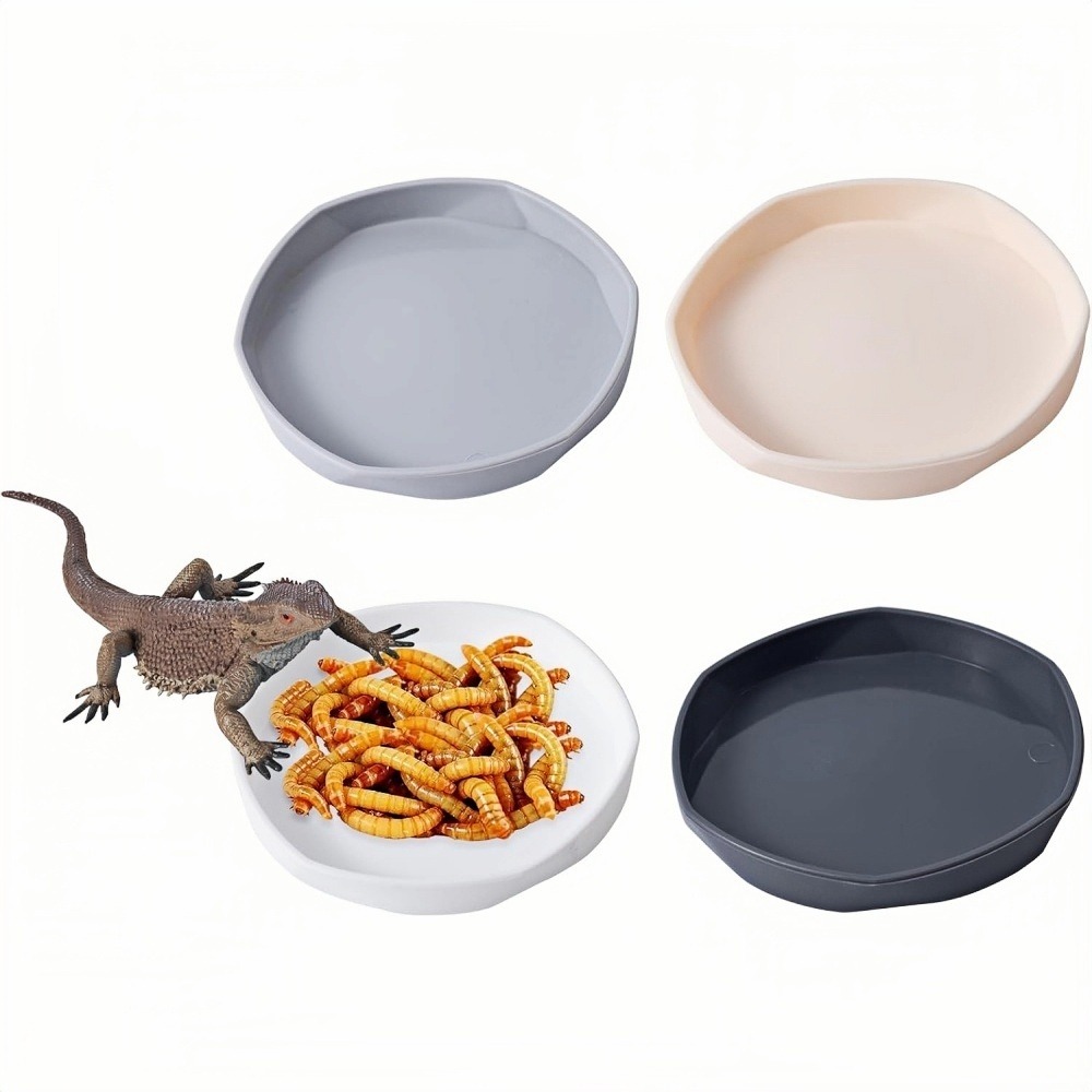 Gamelles à eau - lot de 4, motif dragon barbu, peu profond et plat, plastique