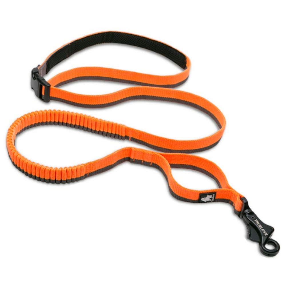 Longe élastique chien Capture - Taille M élastique entre 140 et 200 cm - Orange