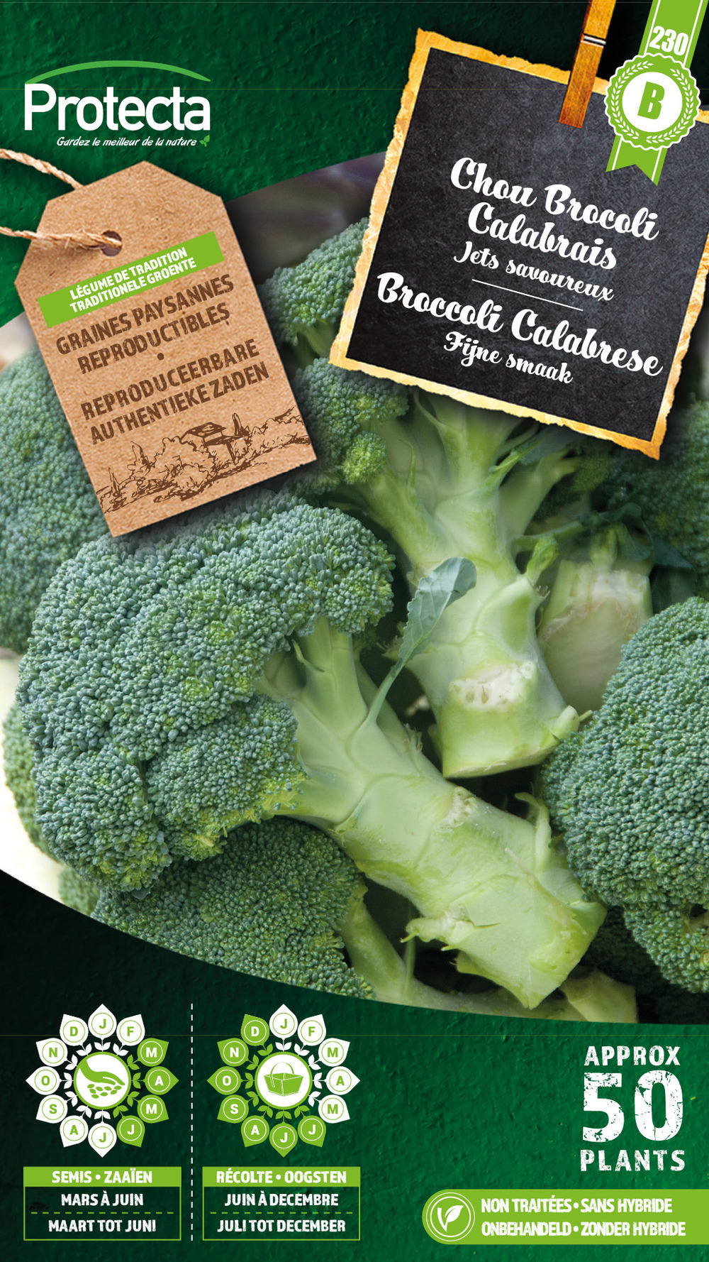 Chou brocoli calabrais – protecta graines paysanne - ca. 1 gr