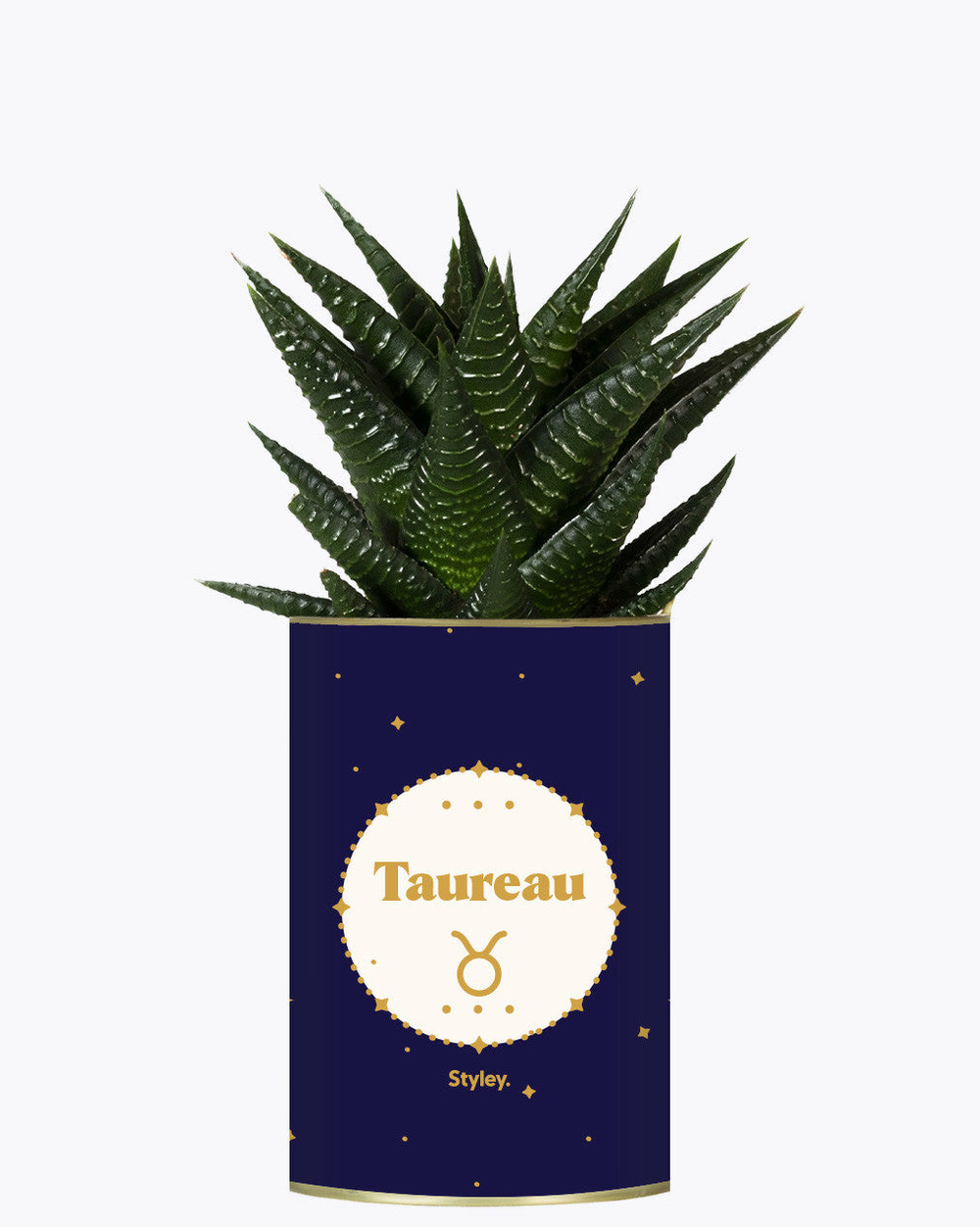 Idée cadeau - astrologie - plante zodiac