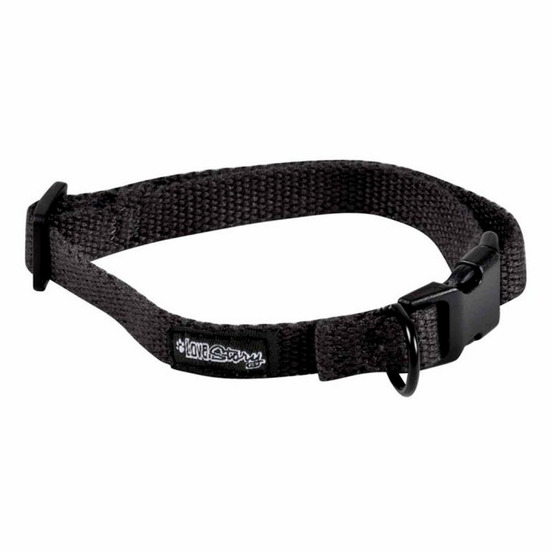 Collier pour animaux