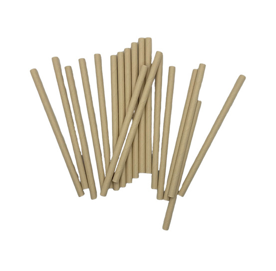 Paille jetable en fibre de bambou l 12,5 cm ø 0,06 cm - natural bambou