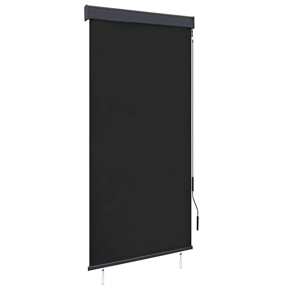 Store roulant d'extérieur 100 x 250 cm anthracite