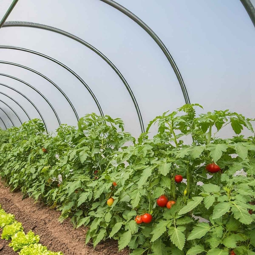 Bâche serre 3x15 m - tecplast 150se - haute qualité - made in france