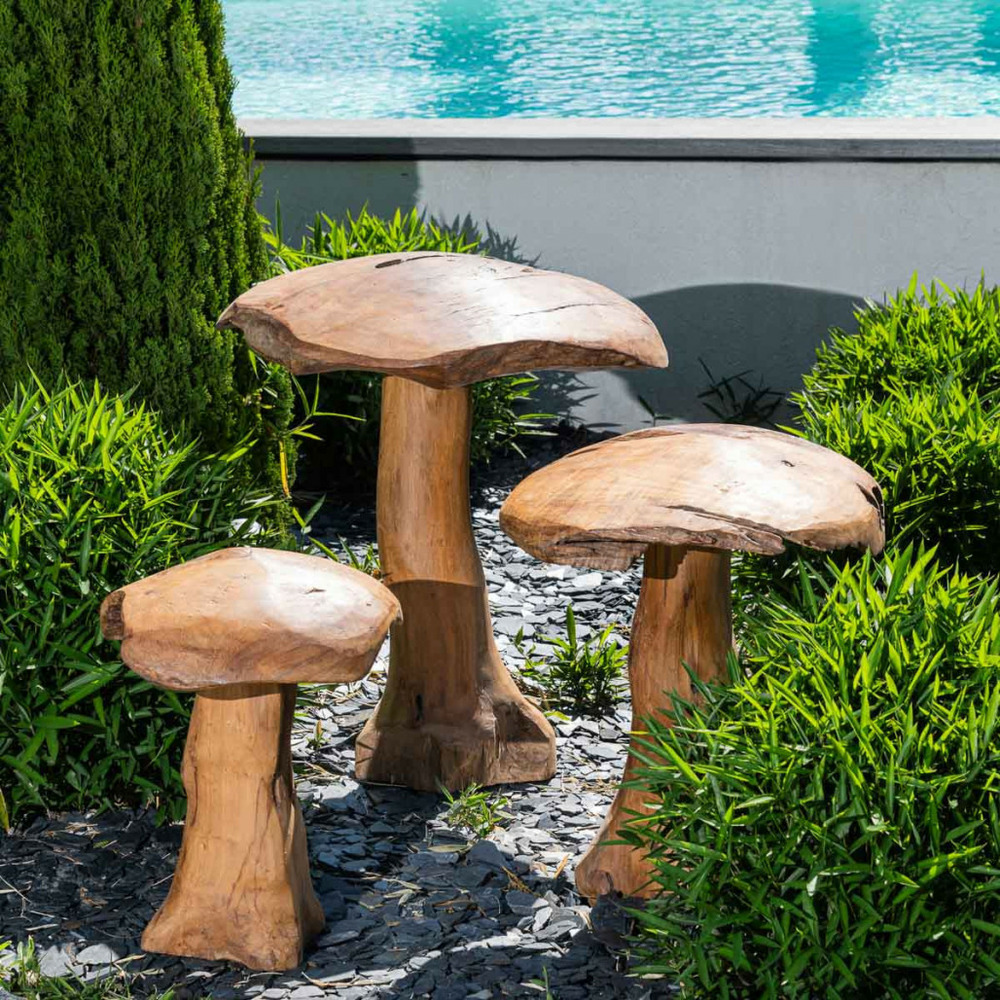 Set champignons en teck deco jardin