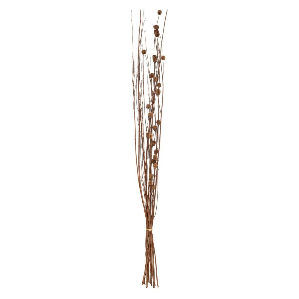 Fleurs séchées naturelles h100 cm