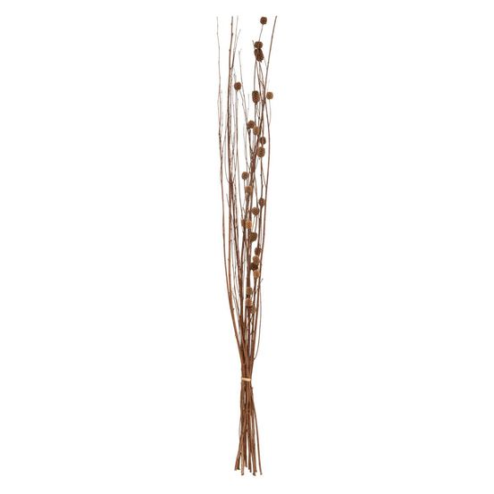 Fleurs séchées naturelles h100 cm