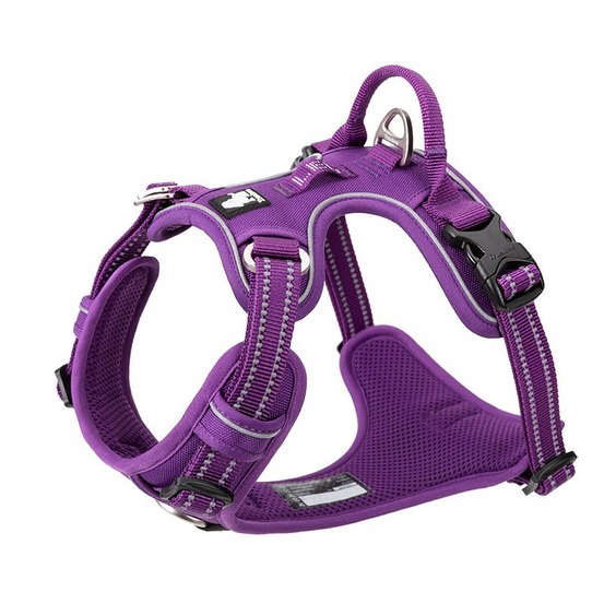 Harnais chien country plus + dressage anti traction & promenade - réfléchissant - XL : 80 - 95 cm - Violet