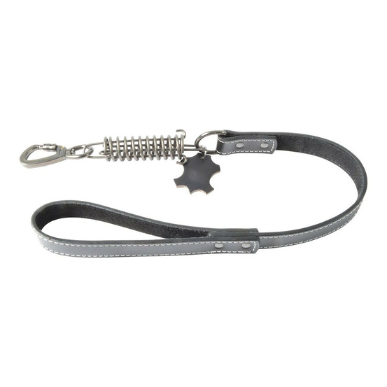 Laisse pour chien anti à-coups
