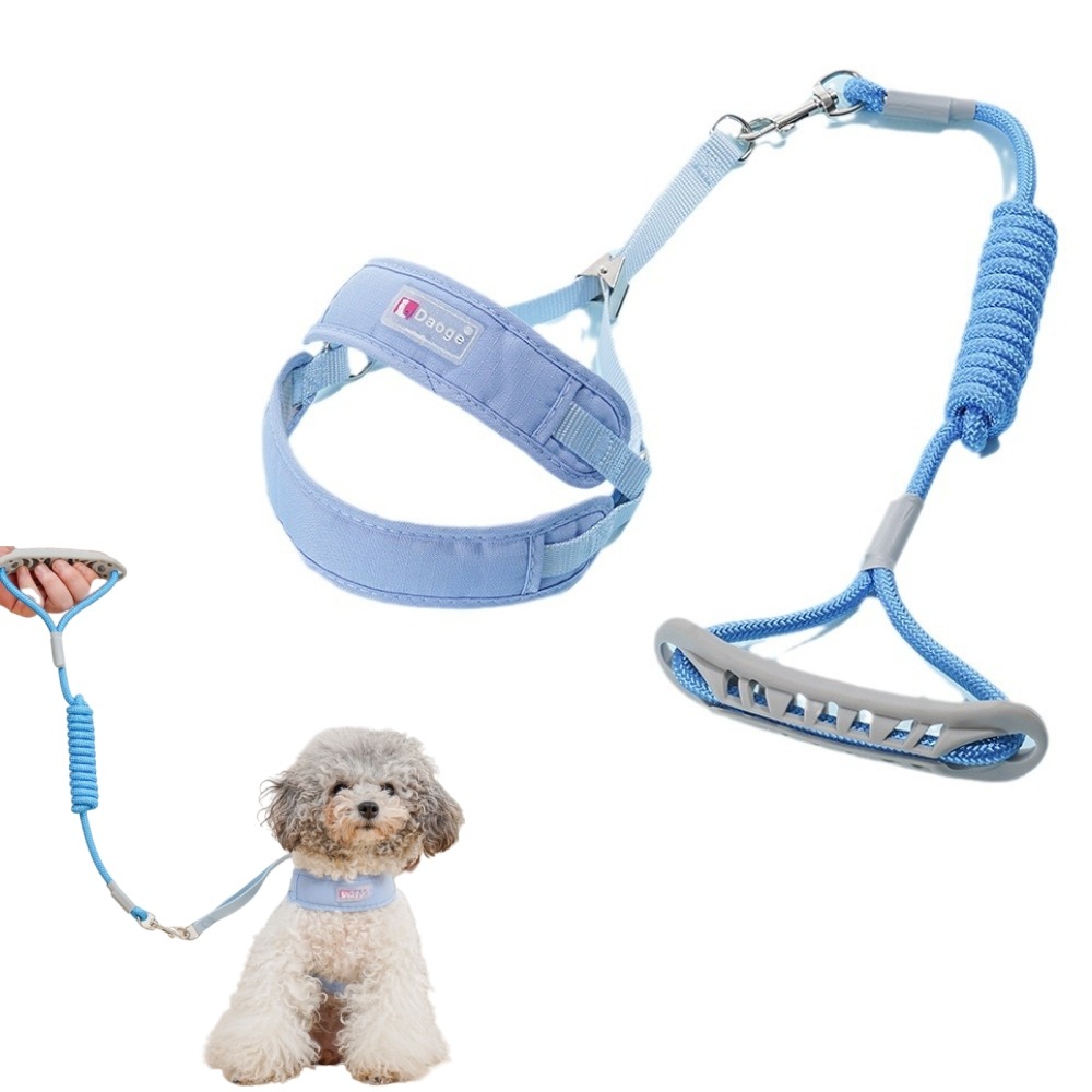 Laisse et gilet de harnais pour chien m