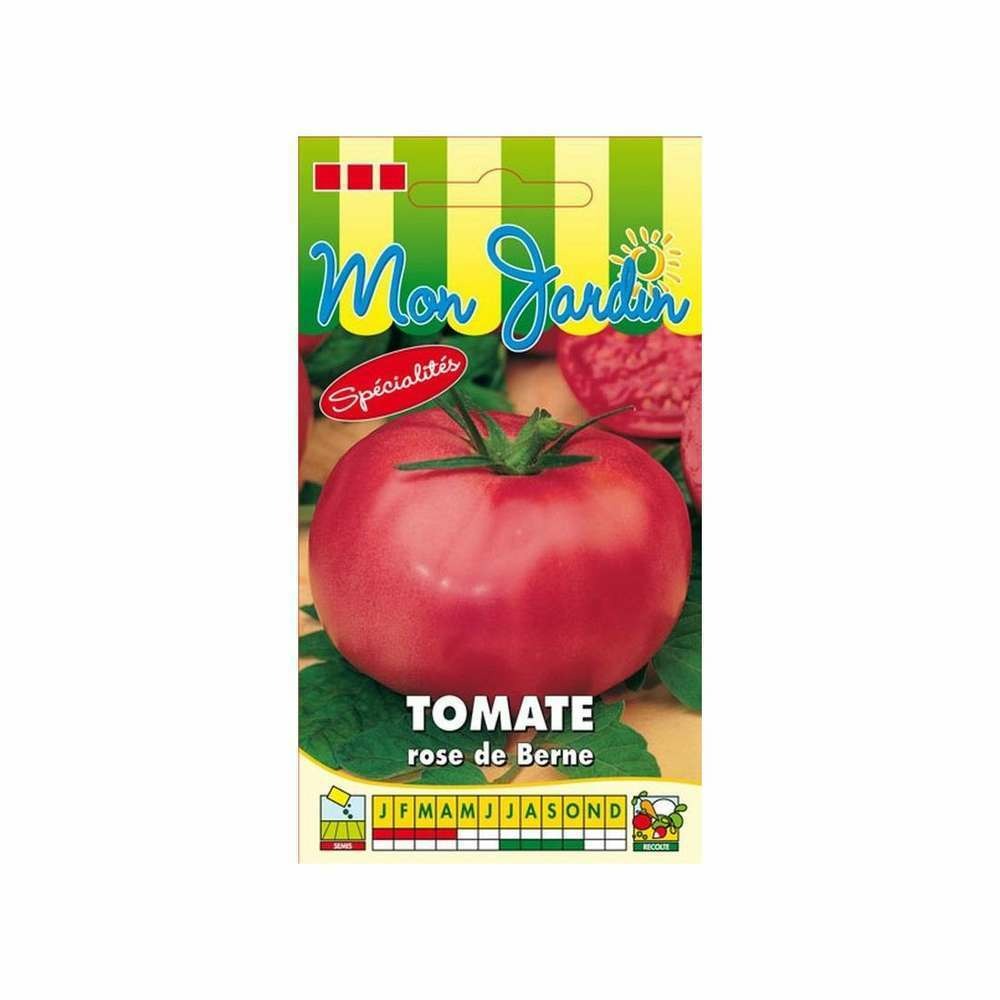 Graines de tomate berner rose