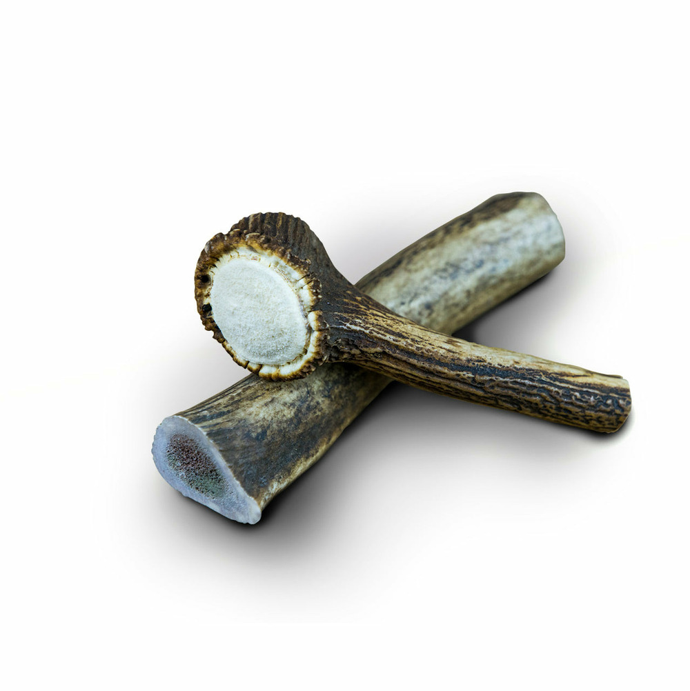 1x bois de cerf s entier (50/60gr) - chien<10kg - france croquettes