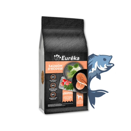 Croquettes chien adulte holistic sans céréales - saumon d'ecosse - 12 kg