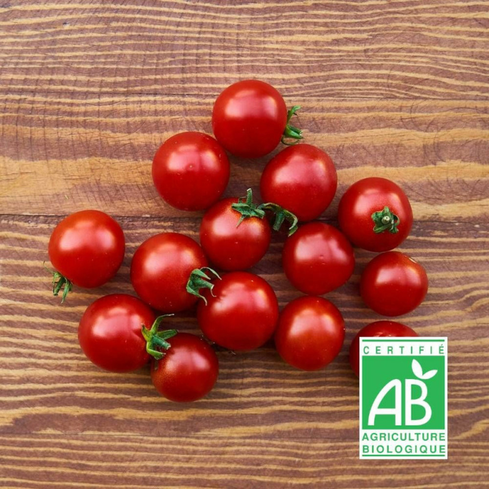 Graines de tomate cerise - sans traitement - vilmorin sachet
