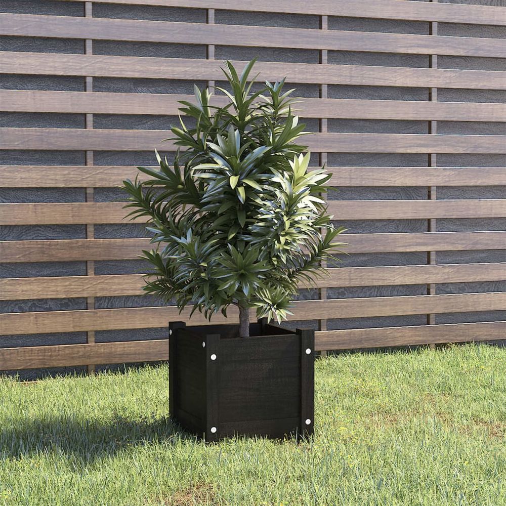 Jardinière d'extérieur noir 31x31x31 cm bois de pin massif