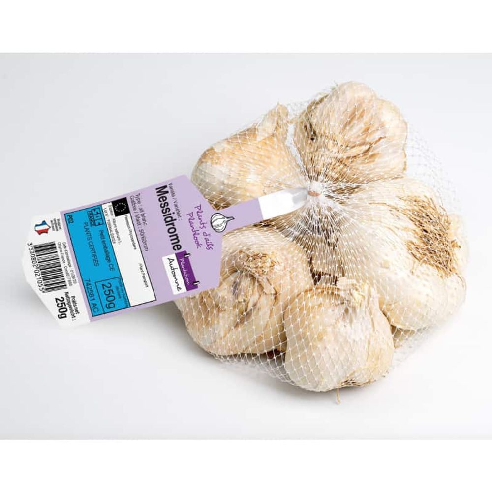 Messidrome blanc ail a repiquer 500 gr