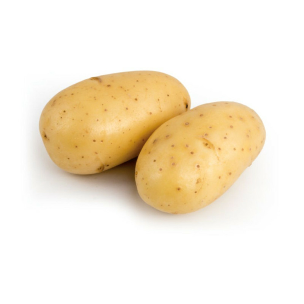 Allians 60 plants de pommes de terre