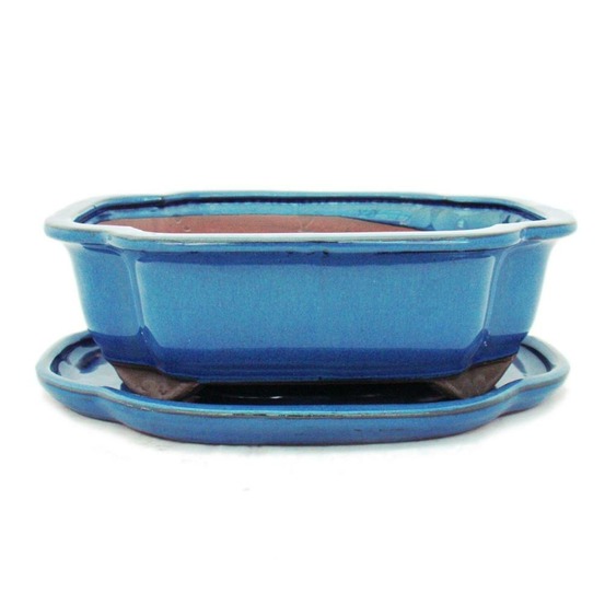 Bol bonsaï avec soucoupe taille 4 - bleu - haitang/ovale - modèle i4 - l 26cm - b 20,5cm - h 8,5cm