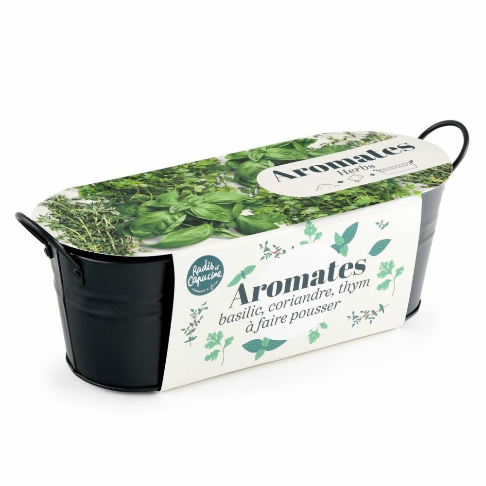 Jardinière zinc noir 30 cm - aromates