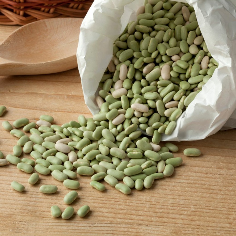 Haricot nain à écosser 'flageolet chevrier' le sachet de 300 graines environ (90g)