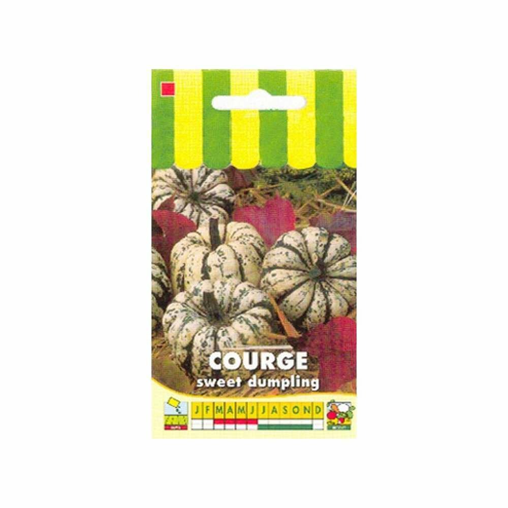 Graines de courge sweet dumpling / patidou