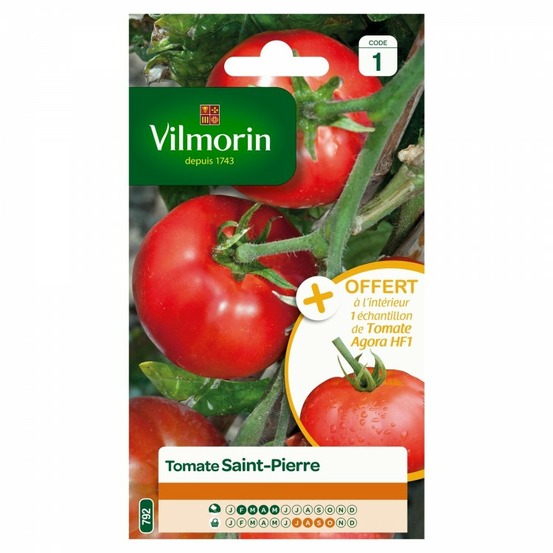 Sachet graines tomate saint pierre