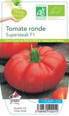 Tomate supersteak f1 -plant ab en  pot 0.5 l-plante du jardin
