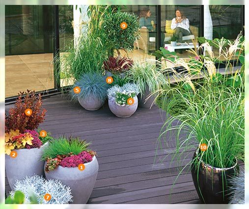 Aménagement entrée fleurie contemporaine