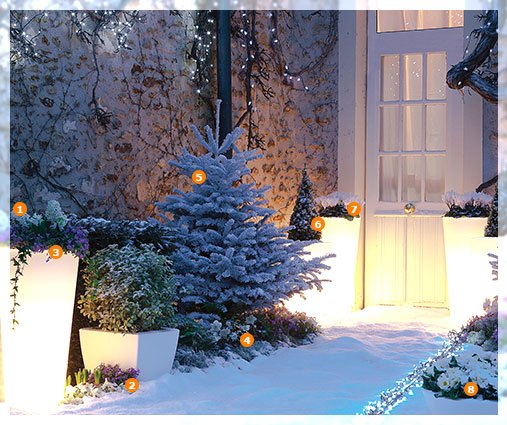 Aménagement entrée fleurie lumineuse