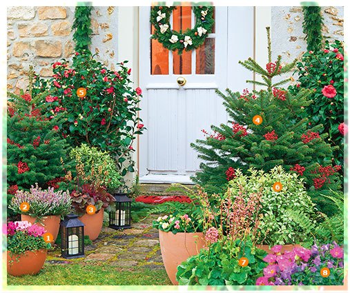 Aménagement entrée fleurie noel