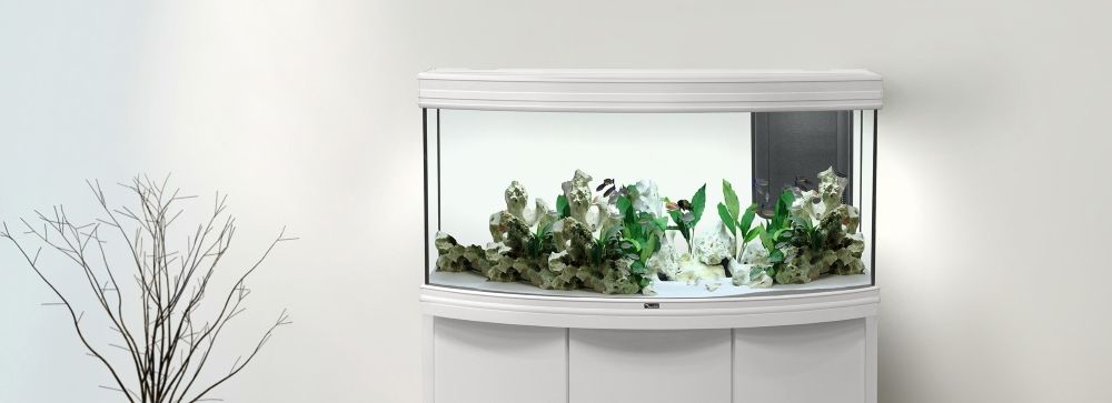 entretien aquarium