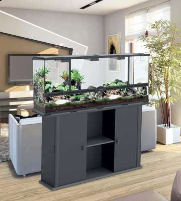 entretenir un terrarium