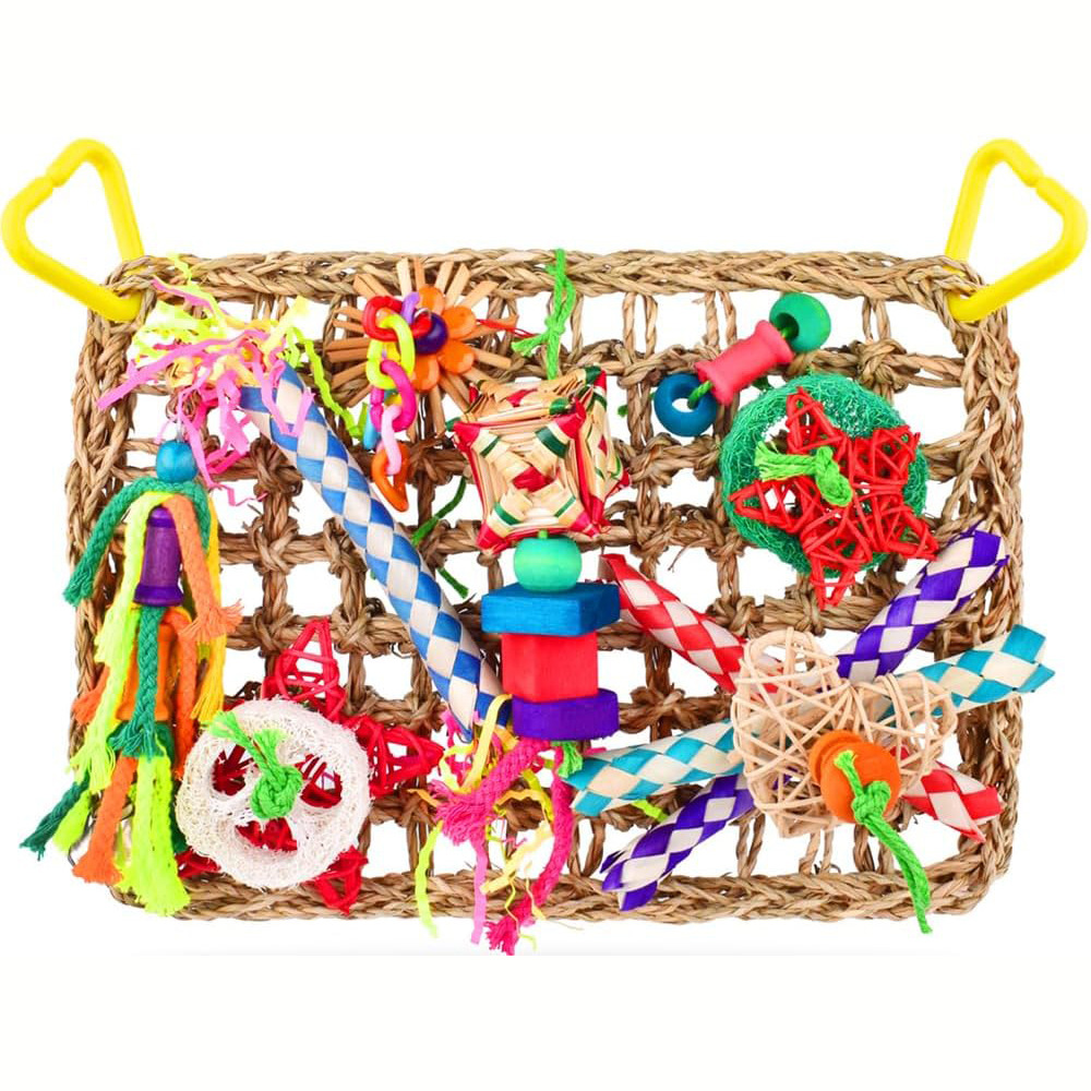 Jeux pour oiseaux - matériel de forage, chewing, escalade