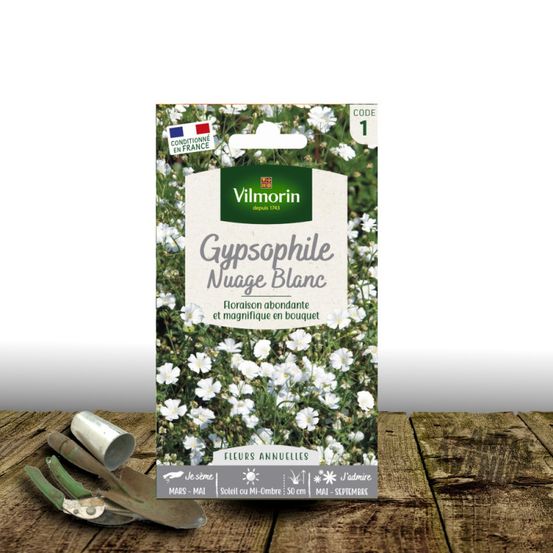 Graines de gypsophile nuage blanc - vilmorin sachet de 2 gr.
