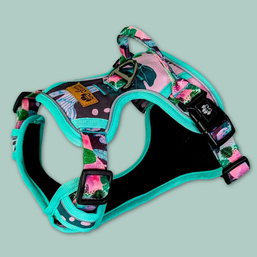 Harnais pour chien confort cactus - l