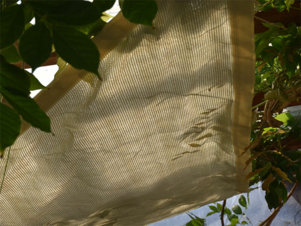 Voile d'ombrage - ivoire - forme triangle - 185g/m² ivoire 2. 5 x 2. 5 x 3. 5