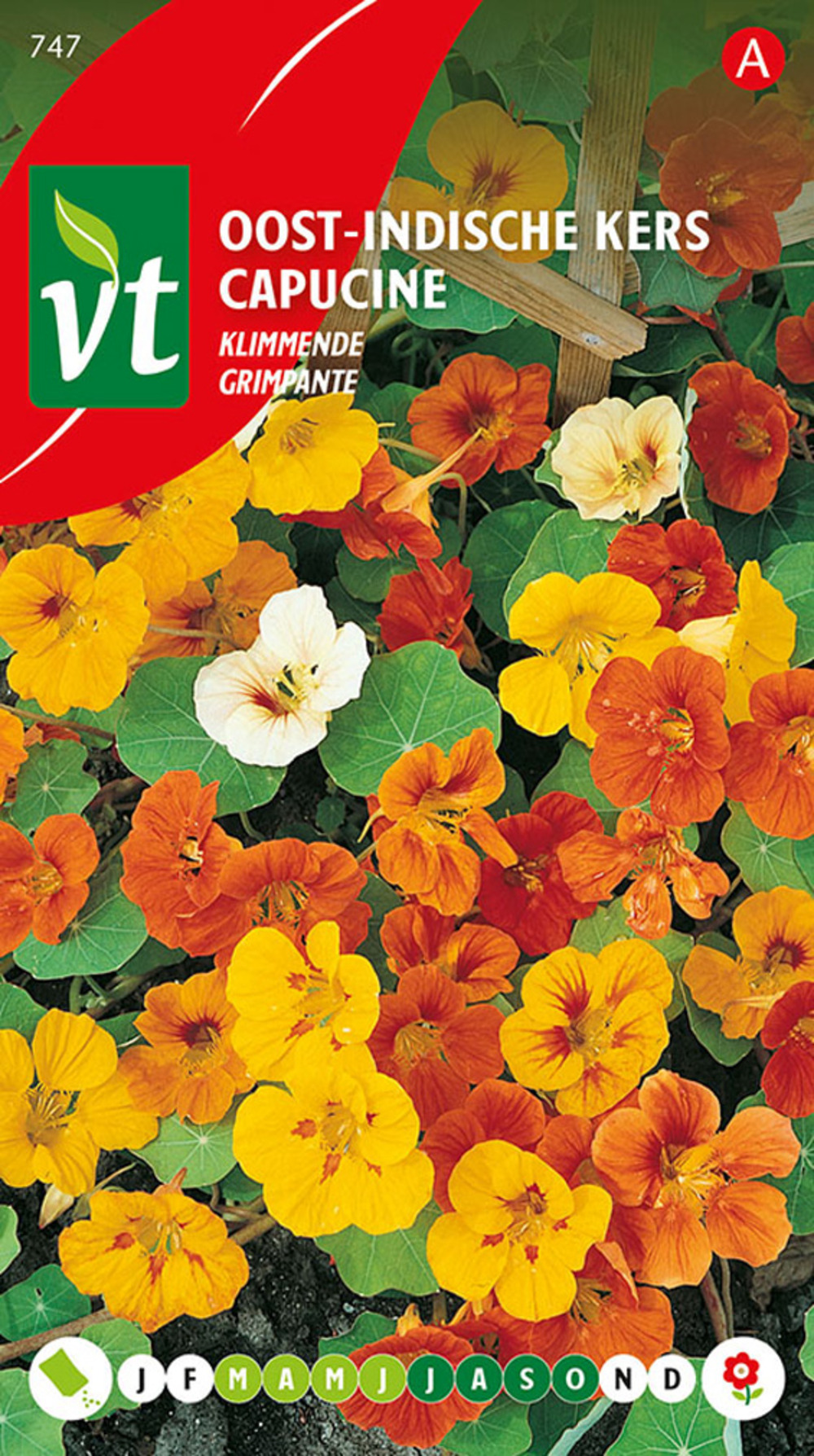 Capucine grimpante - ca. 3.5 gr (livraison gratuite)