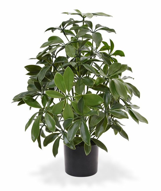 Schefflera plante artificielle de 50 cm anti-uv