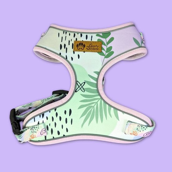 Harnais pour chien pastel - xl